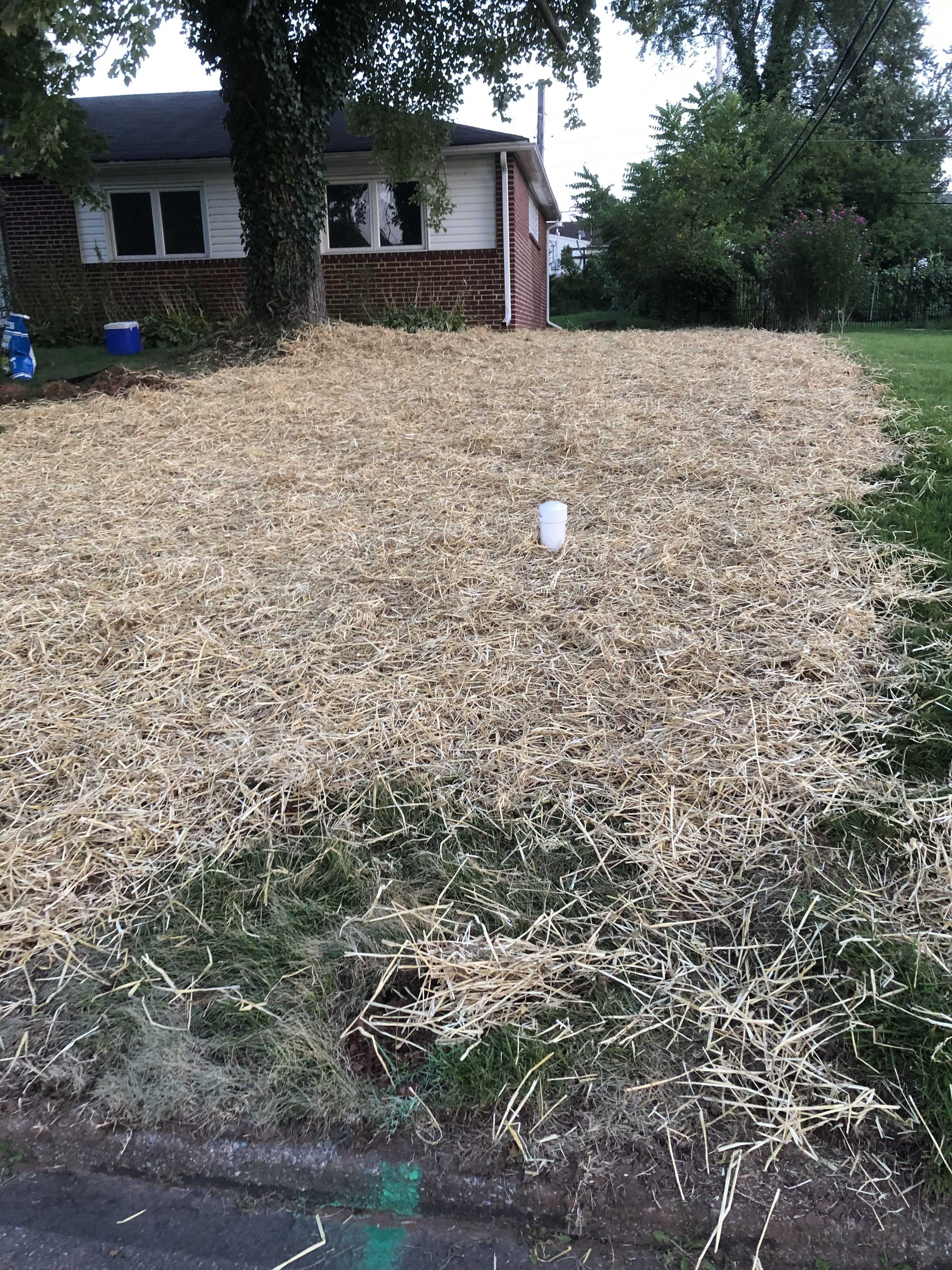 Erosion control project